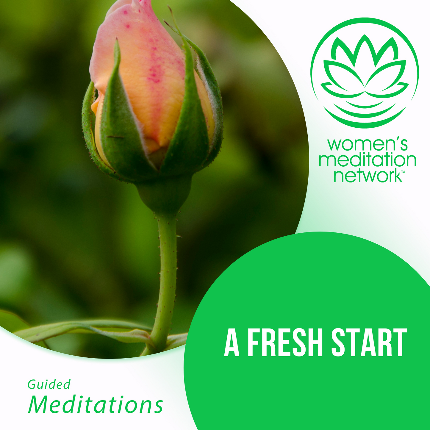 Morning Mini Series - A Fresh Start Morning Meditation