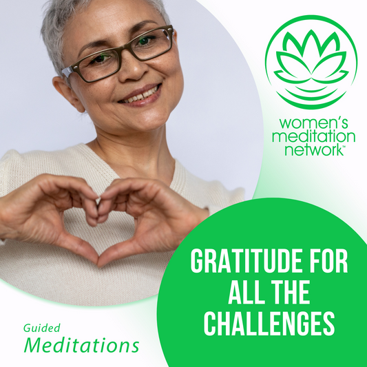 Gratitude Meditation Mini Series - Gratitude For All The Challenges