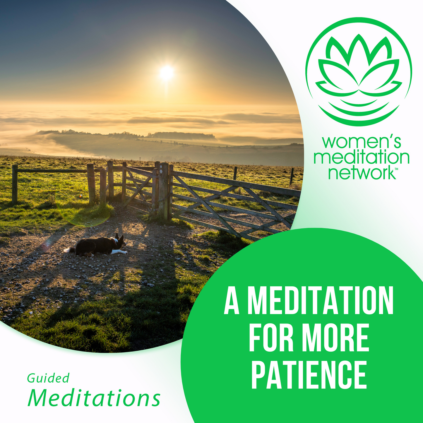 A Meditation for More Patience Guided Meditation