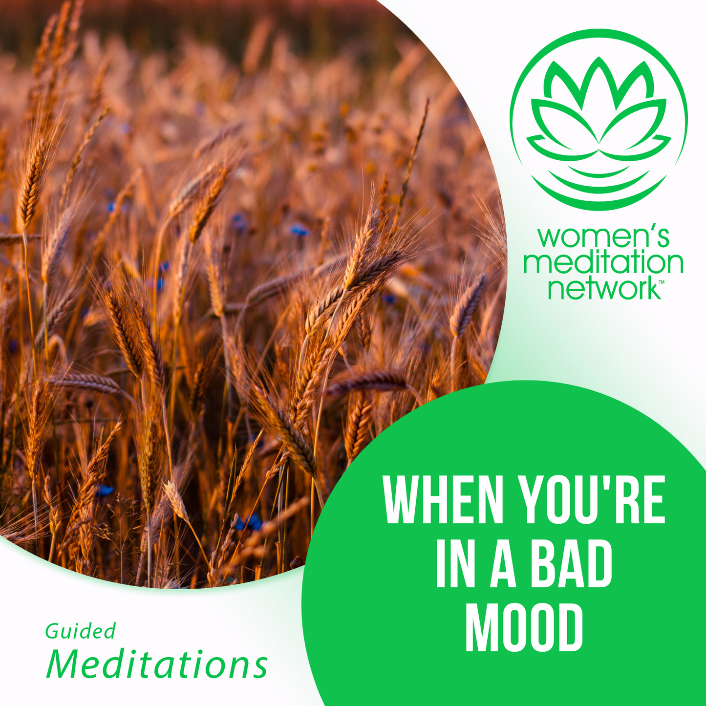 When You're In a Bad Mood Guided Meditation