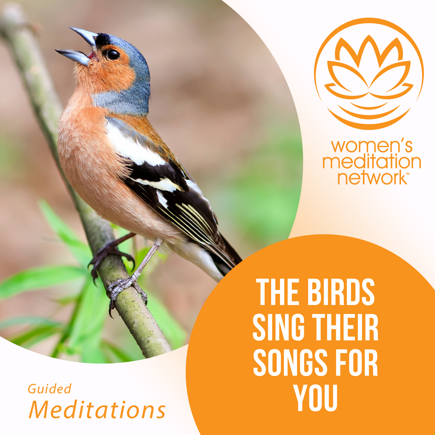 The Birds Sing Their Songs for You