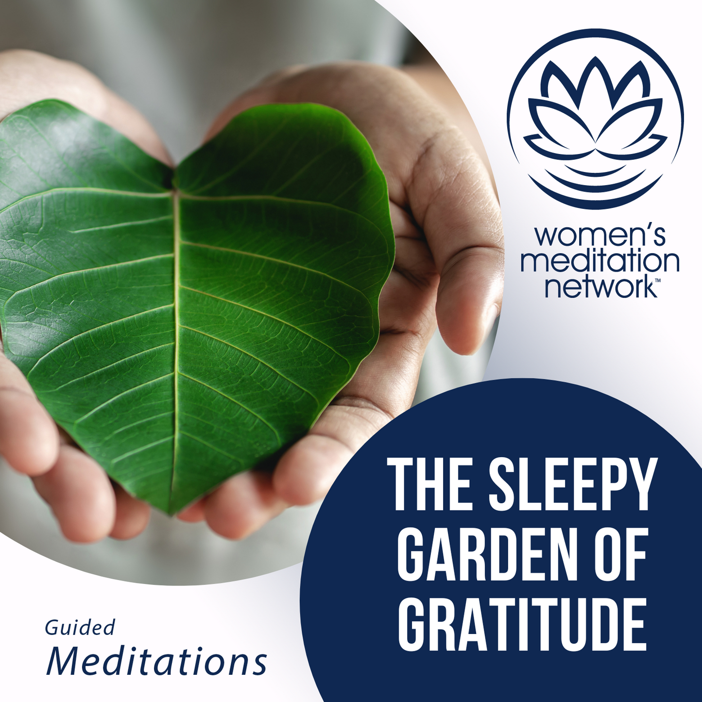 The Sleepy Garden of Gratitude