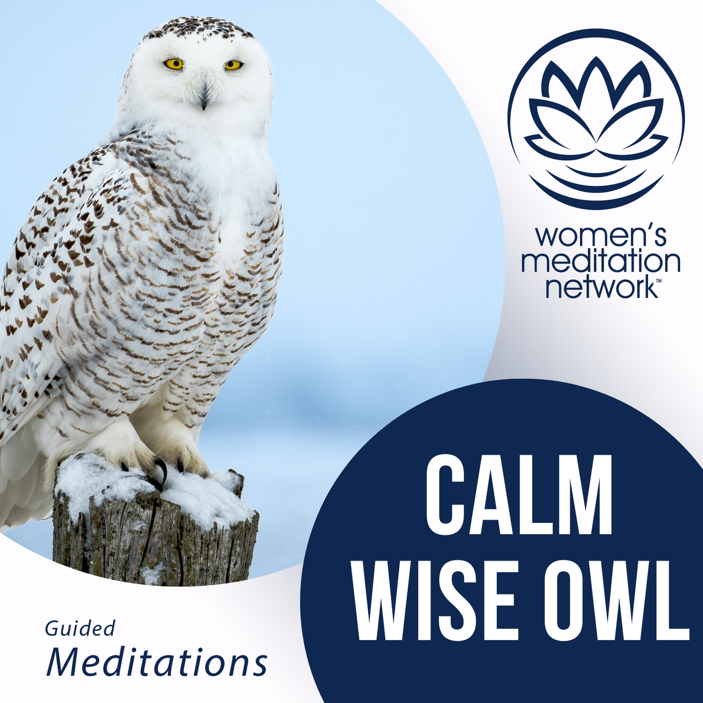 Calm Wise Owl Sleep Meditation