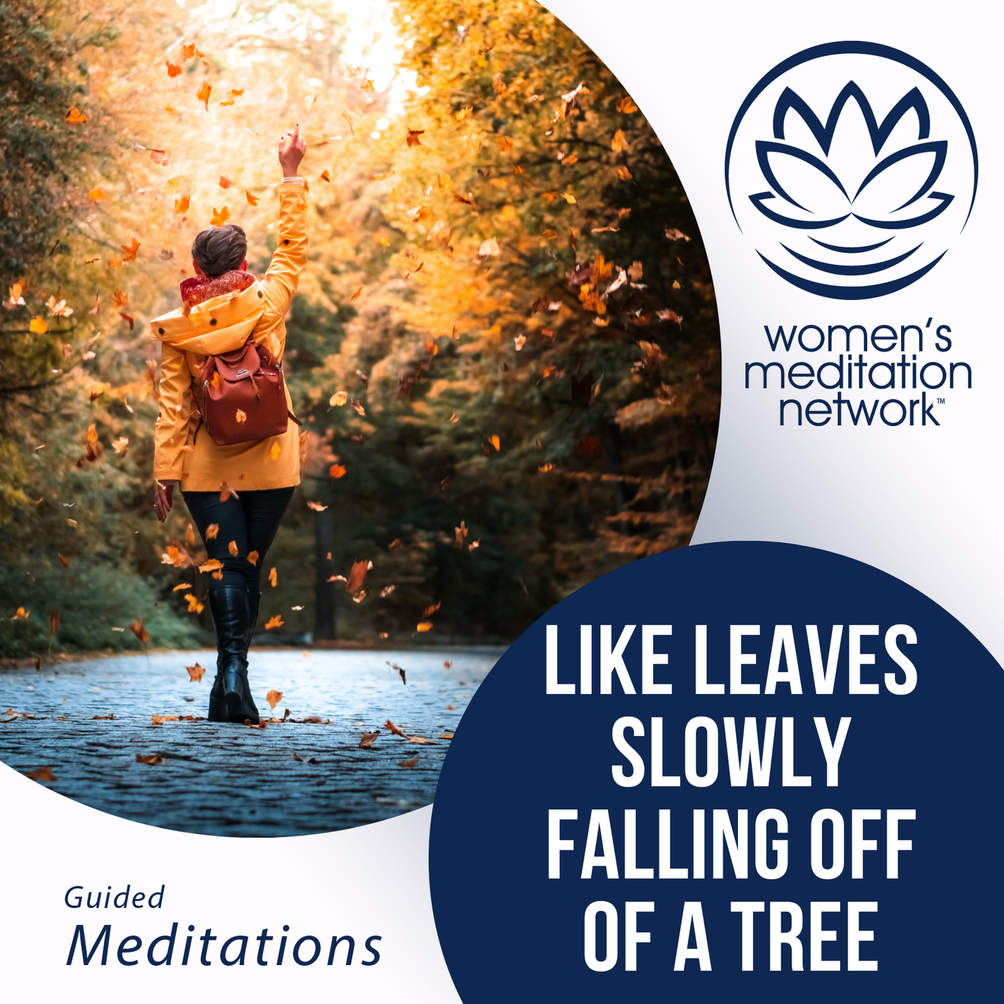 Like Leaves Slowly Falling Off of a Tree Sleep Meditation