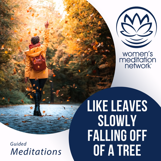 Like Leaves Slowly Falling Off of a Tree Sleep Meditation