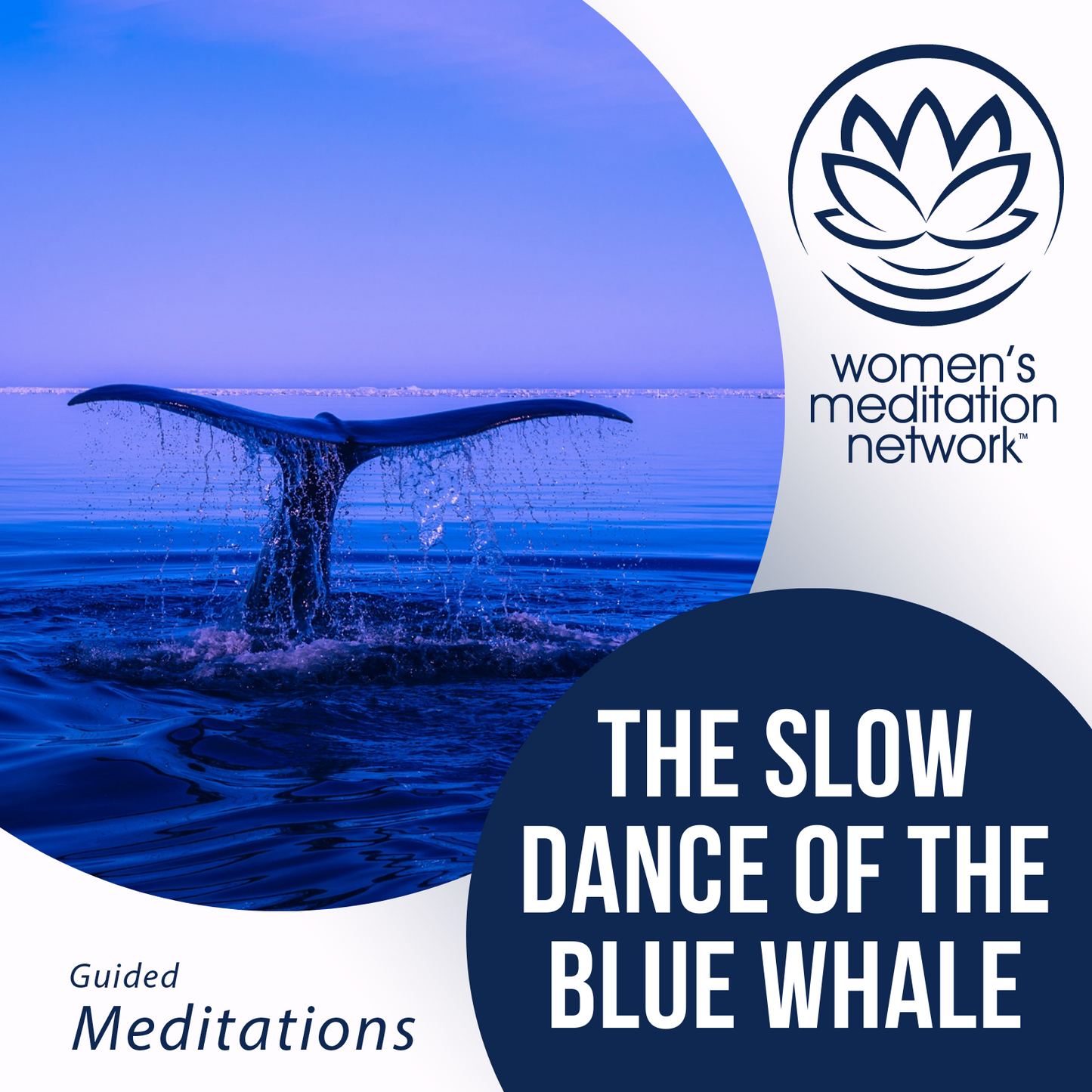 The Slow Dance of the Magic Whale Sleep Meditation